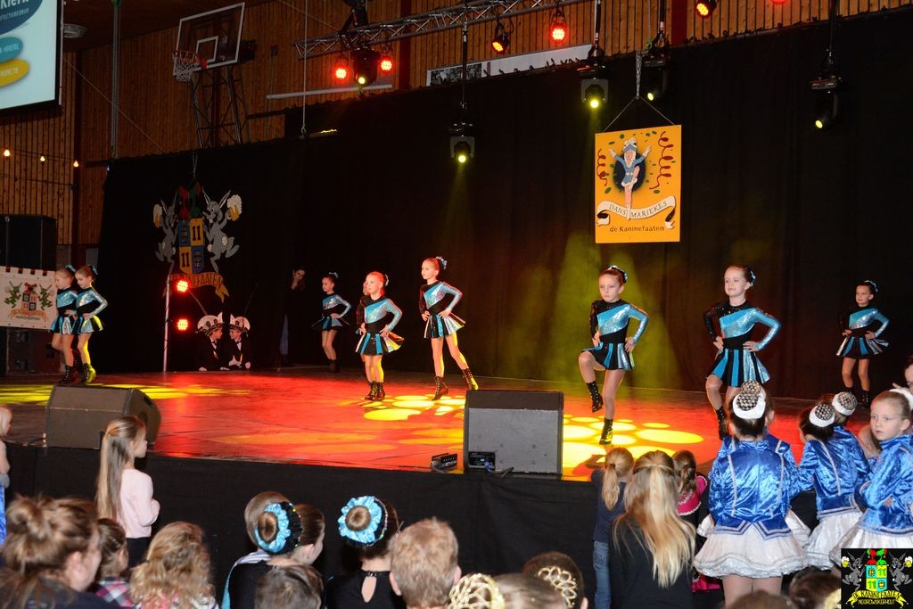../Images/Dansmarieke festival 2018 059.jpg
